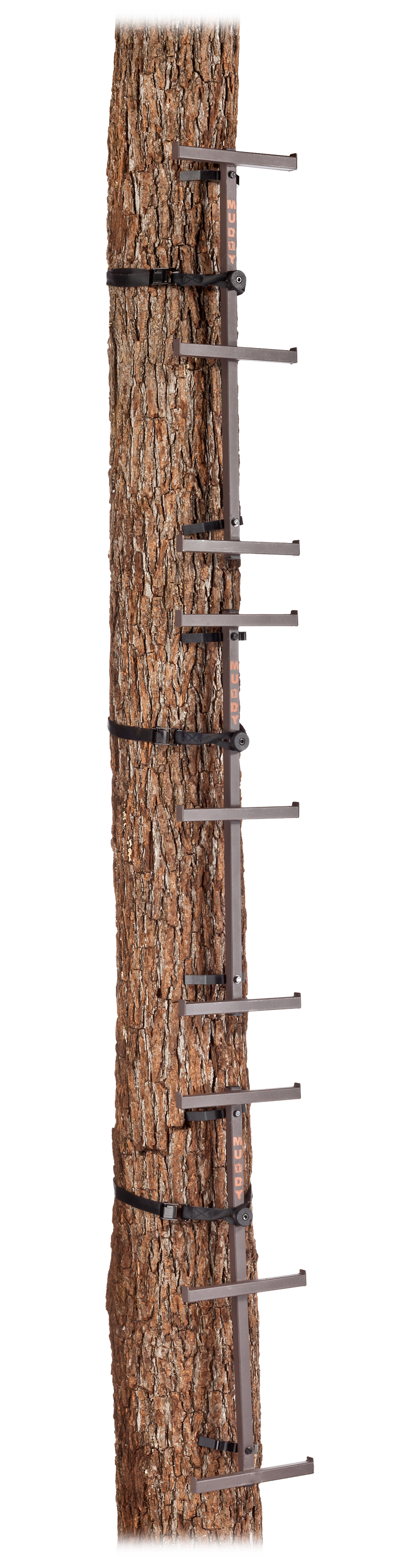 Muddy Outfitter Tree Climbing Sticks Bass Pro Shops